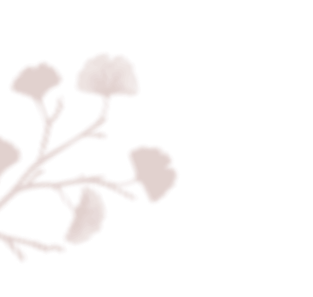 https://antruong-phuochai.com/wp-content/uploads/2020/12/floating_image_01.png