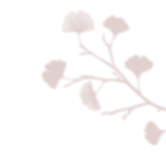 https://antruong-phuochai.com/wp-content/uploads/2020/12/floating_image_02.png