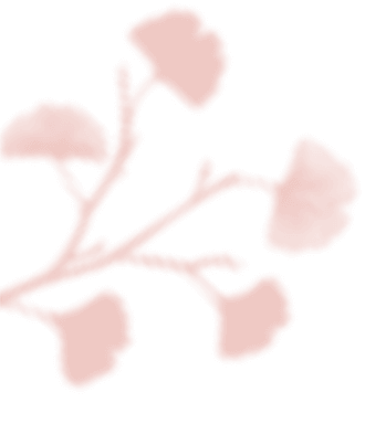 https://antruong-phuochai.com/wp-content/uploads/2020/12/floating_image_03.png