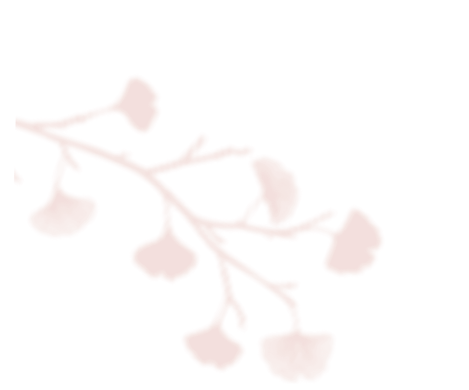 https://antruong-phuochai.com/wp-content/uploads/2020/12/shadow_leaves_06.png