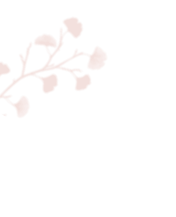 https://antruong-phuochai.com/wp-content/uploads/2020/12/shadow_leaves_inner.png