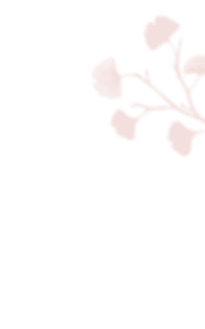 https://antruong-phuochai.com/wp-content/uploads/2021/01/shadow_leaves_inner_2.png